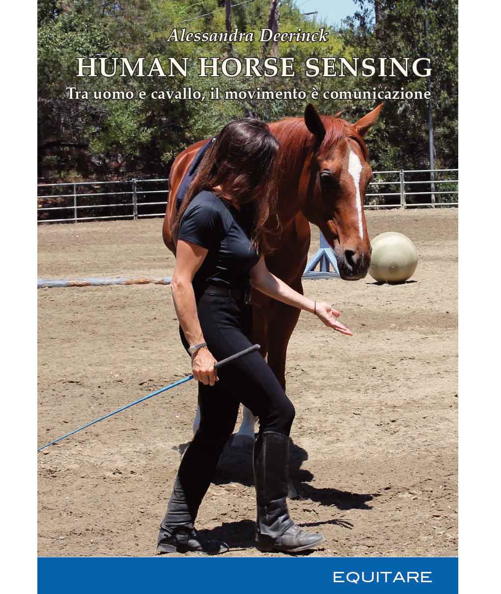 HUMAN HORSE SENSING. Tra uomo e cavallo, il movimento è comunicazione