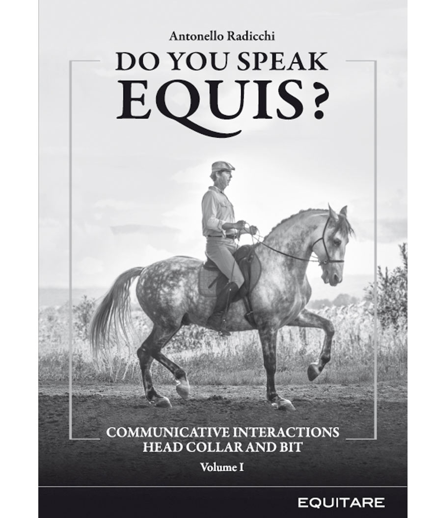 DO YOU SPEAK EQUIS? di Antonello Radicchi