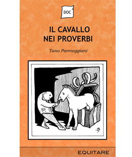 cavallo proverbi