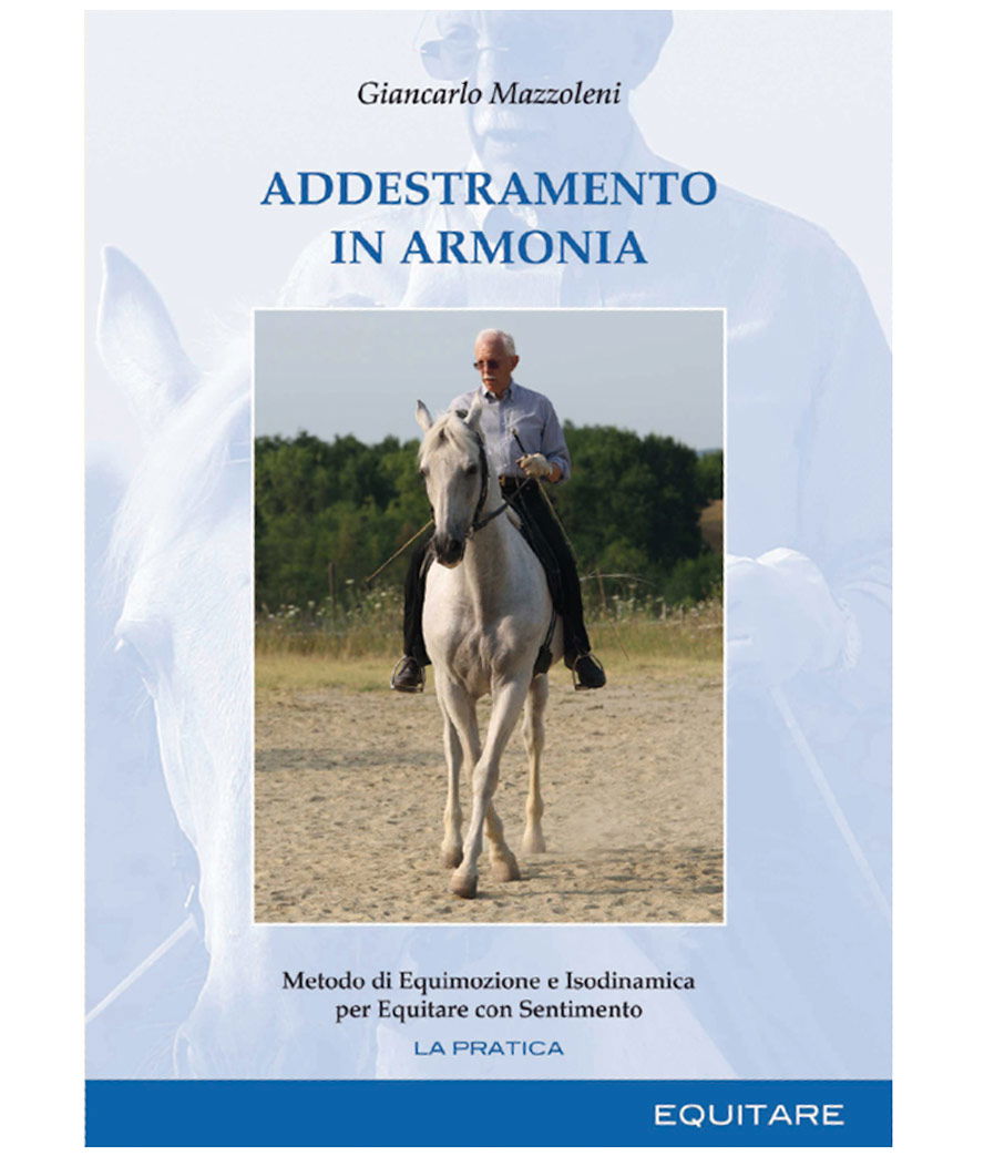 Addestramento in armonia