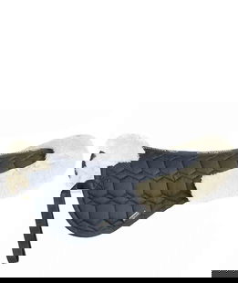 Salvaschiena Equiline Cloud