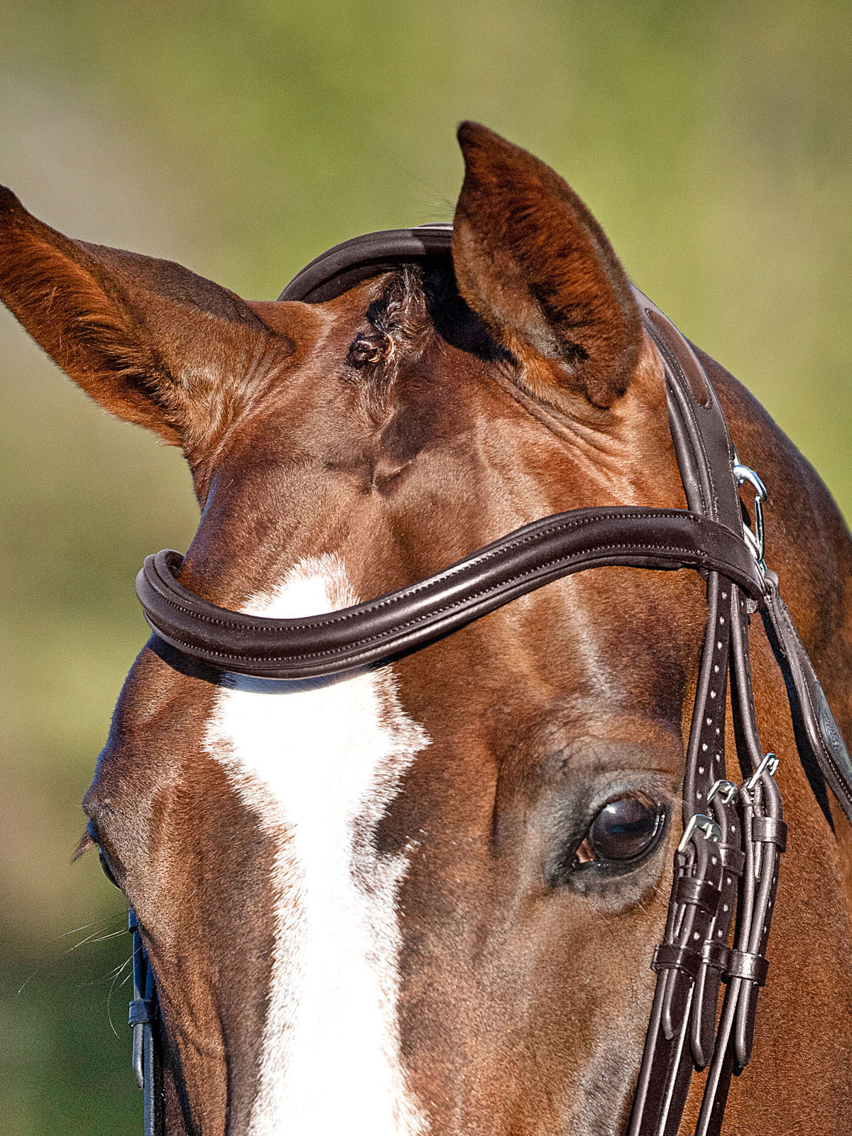 Frontalino U Equiline Shaped a onda bombato in pelle  - foto 2