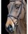 Capezzina inglese Equiline bombata in pelle con ricami e chiudibocca removibile  - foto 3