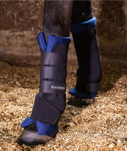 Stable boots Distinto con neoprene e dettagli in pelle sintetica + cappellino omaggio