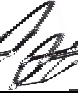 Cavezza Winner in cuoio con clincher e doppia fibbia in ottone nichelato