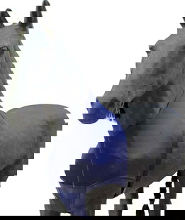 Coprispalle per cavalli in lycra e nylon con elastico e fibbia
