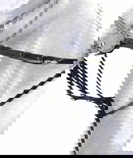 Set tiderman da addestramento con redini e pettorale