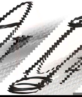 Briglia inglese Royal con frontalino e nasalina imbottiti completa di redini gommate