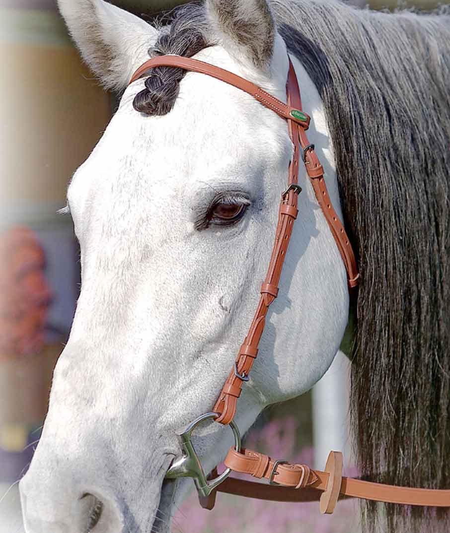 Briglia da trotto completa di redini in gomma e falsa martingala