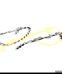 Spilla plastron con frustino in finitura dorata