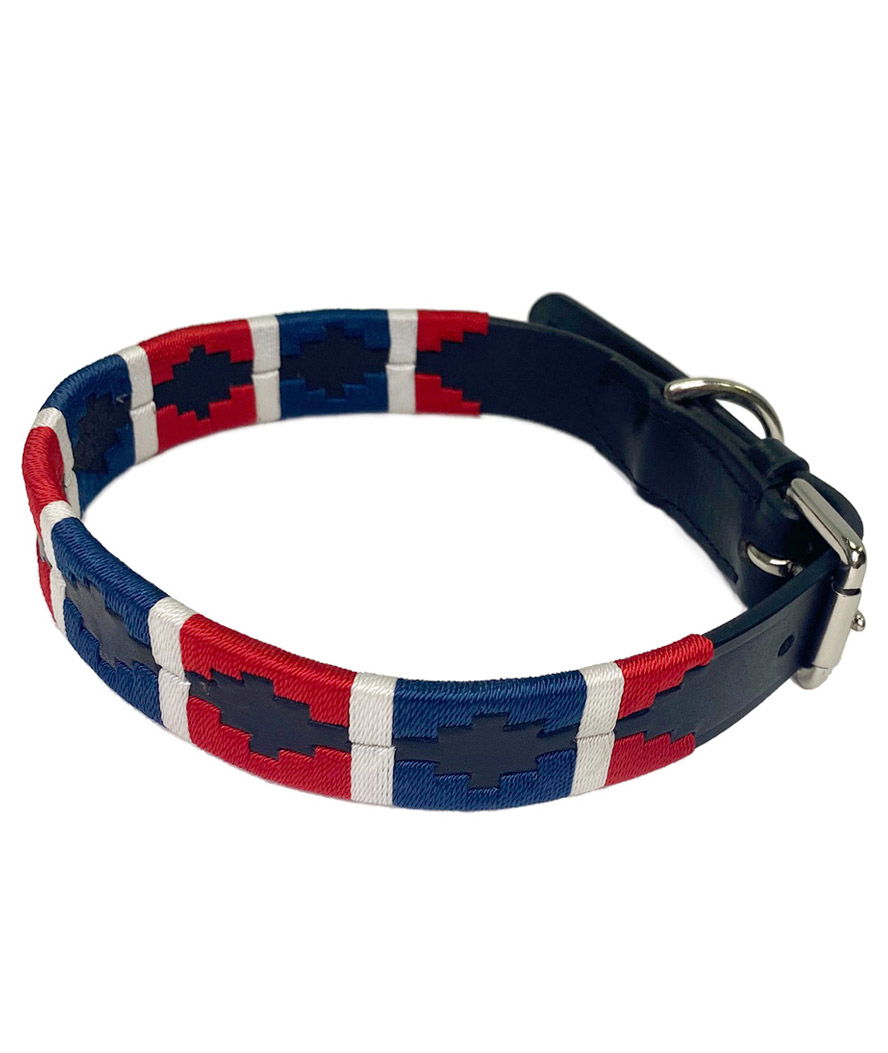 Collare in cuoio con riporti blu/bianco/rosso per cani