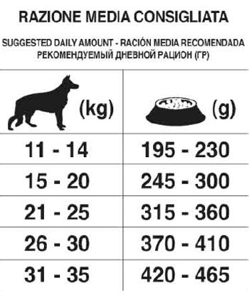 Forza10 medium adult maintenance cervo e patate per cani - foto 1