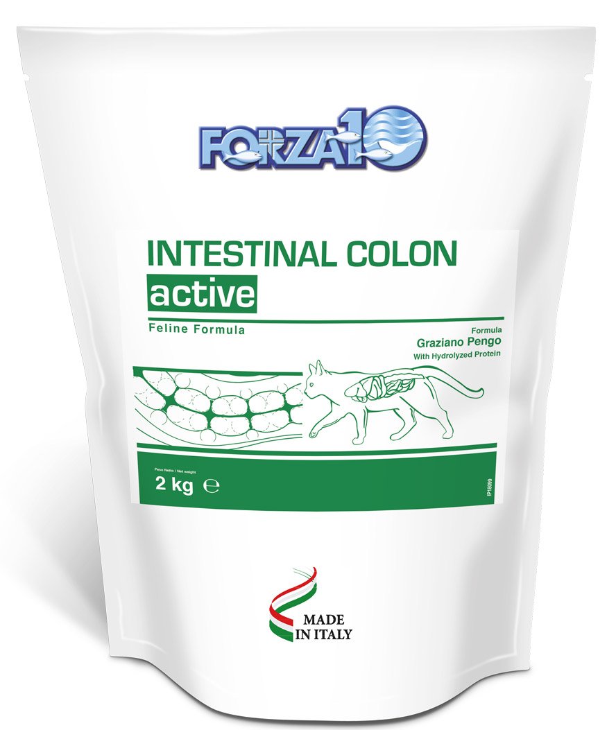 Forza 10 Intestinal Colon Active per gatti 2kg