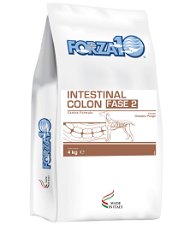 Forza 10 Intestinal Colitis Fase 2 Cani
