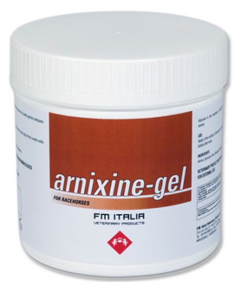 ARNIXINE GEL con Arnica, Iperico, ruta, malva e mentolo mantenimento normale stato fisiologico degli arti 750 ml