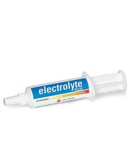 ELECTROLYTE PLUS mangime complementare in pasta orale a particolare fine nutrizionale per la compensazione delle perdite elettrolitiche in caso di sudorazione elevata nel cavallo sportivo 50g