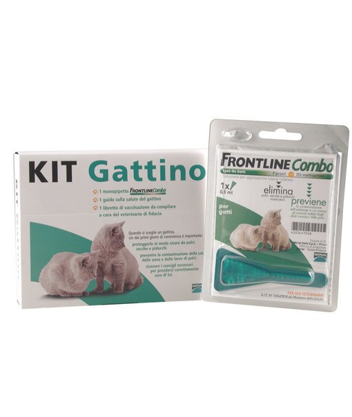 Frontline combo trattamento antiparassitario per gattini confezione da 1 pipetta