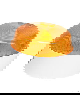 Luce stroboscopica per allarme MBX elettrificatore Series I