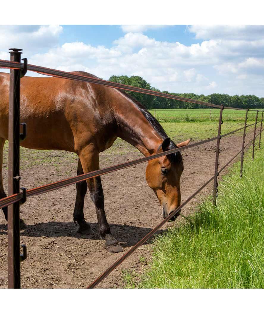 OFFERTA SPECIALE Picchetti per cavalli colore marrone 1,55 m x 10 pezzi - foto 1