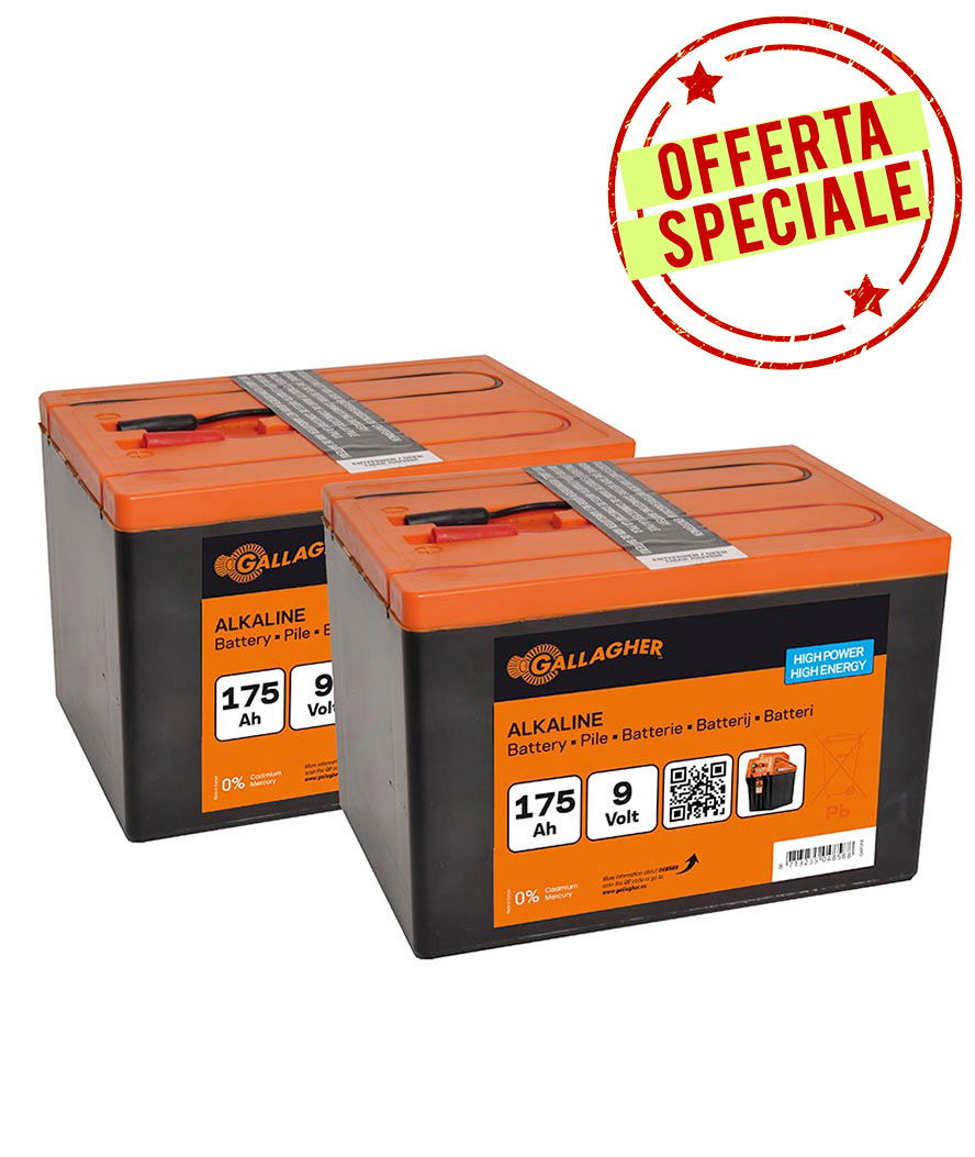 OFFERTA SPECIALE Batteria Alcalina Duopack 2x 9V/175Ah - 190x125x160mm