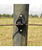 OFFERTA SPECIALE Gallagher Duopack Corda TurboLine terra 2x500m - foto 2