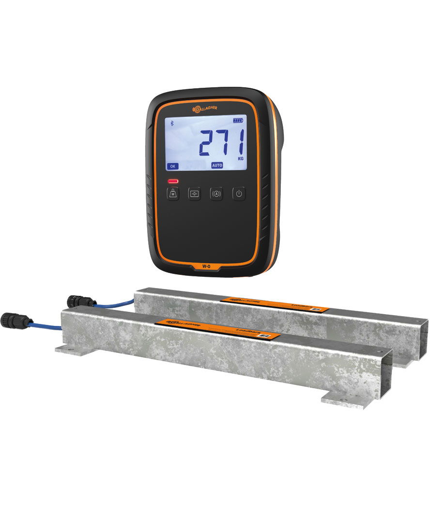 Bilancia Quickweigh kit 580/W0