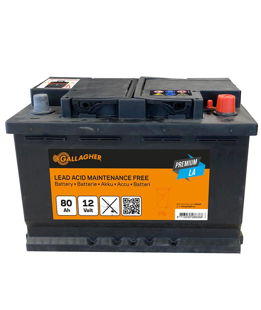 Batteria Gallagher al piombo 12V/80Ah per recinti elettrici ed elettrificatori