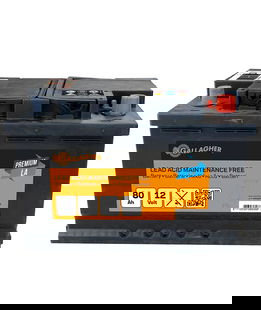 Batteria Gallagher al piombo 12V/80Ah per recinti elettrici ed elettrificatori