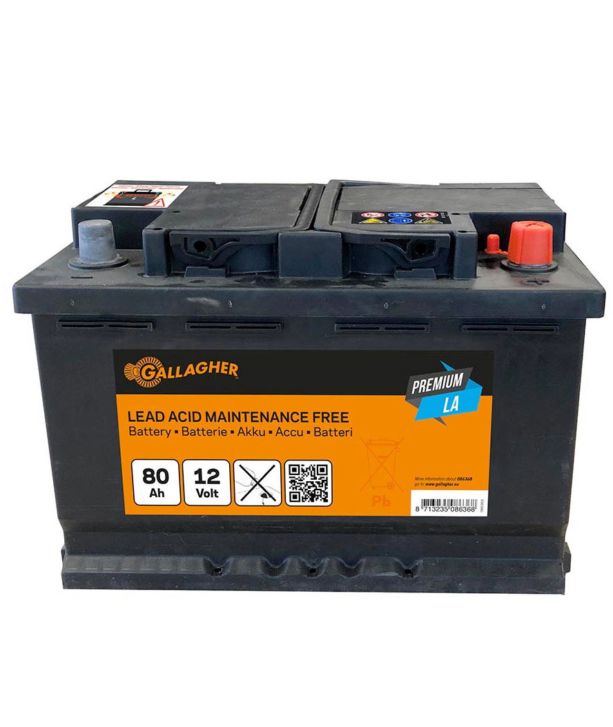 Batteria Gallagher al piombo 12V/80Ah per recinti elettrici ed elettrificatori