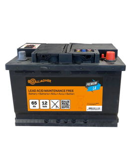 Batteria Gallagher al piombo Premium 12V/65Ah per recinzioni elettriche ed elettrificatori