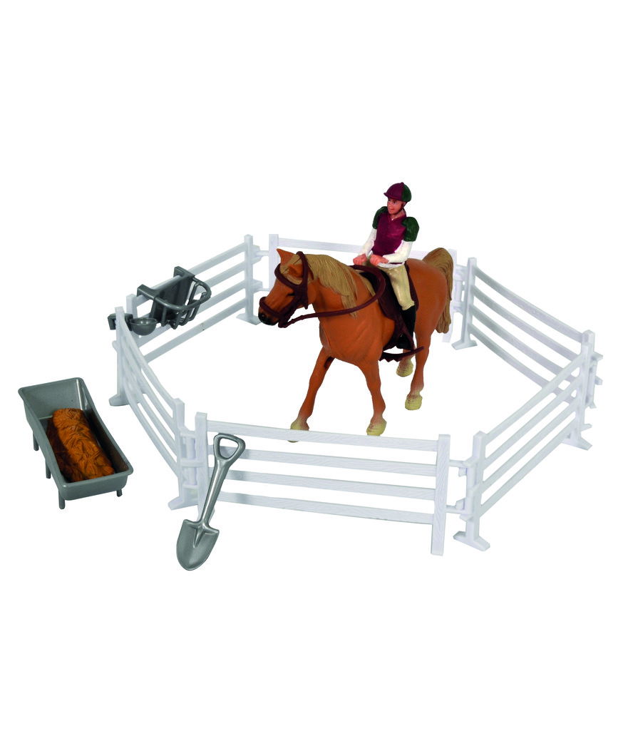 Cavallo, cavaliere ed accessori