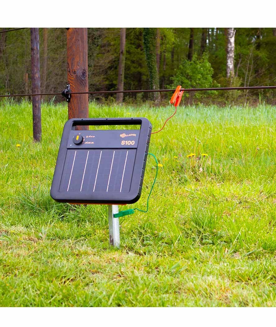 OFFERTA SPECIALE Elettrificatore solare Gallagher S100 con pannello e batteria integrata per recinti fino 10 km per cavalli, bestiame, pecore, capre e maiali - foto 1