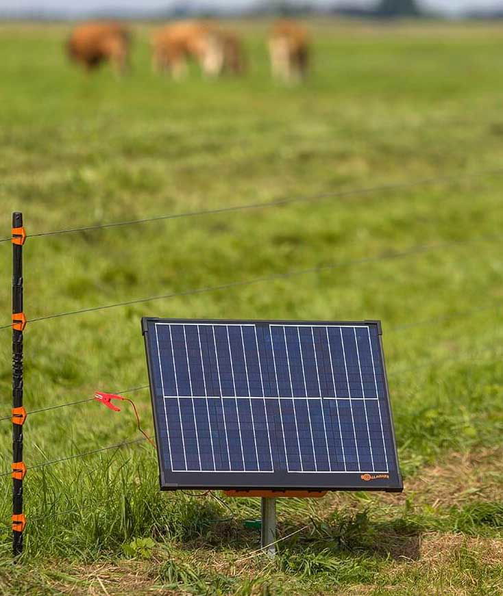 Elettrificatore solare Gallagher S400 con 2 batterie e pannello integrato per recinti fino 30 km per cavalli, bestiame, pecore, capre e maiali - foto 3