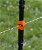 Clip Linepost Gallagher per filo e corda da 8 mm - foto 4