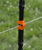 Clip Linepost Gallagher per filo e corda da 8 mm - foto 4