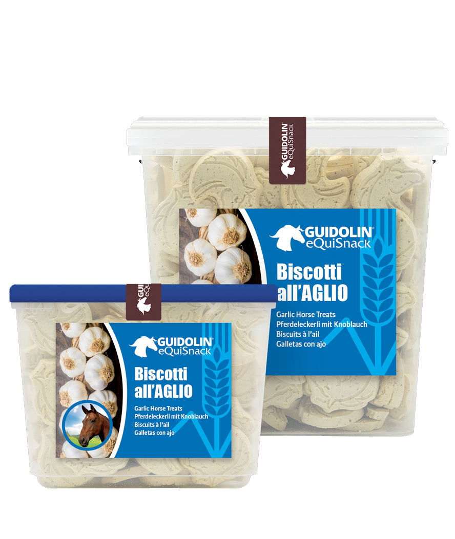 Equi Snack biscotti per cavalli all'aglio  con confezione richiudibile