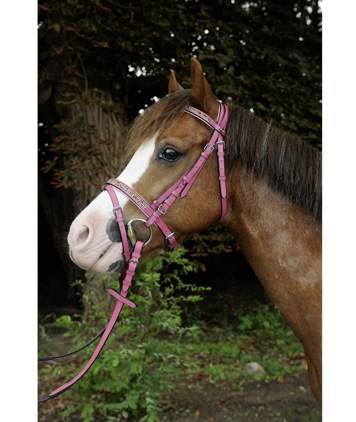 Testiera in cuoio morbido con strass su frontalino e nasalina per shetland e pony modello Santa Fe  - foto 2