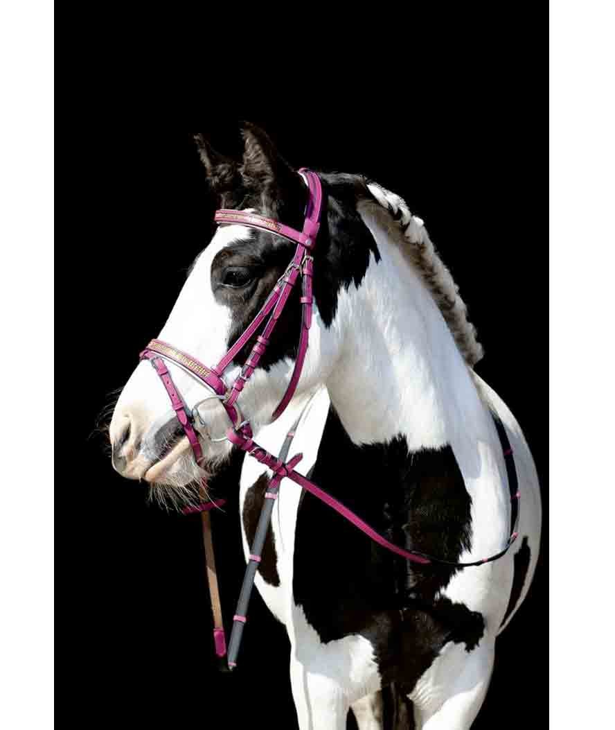 Testiera in cuoio morbido con strass su frontalino e nasalina per shetland e pony modello Santa Fe  - foto 3