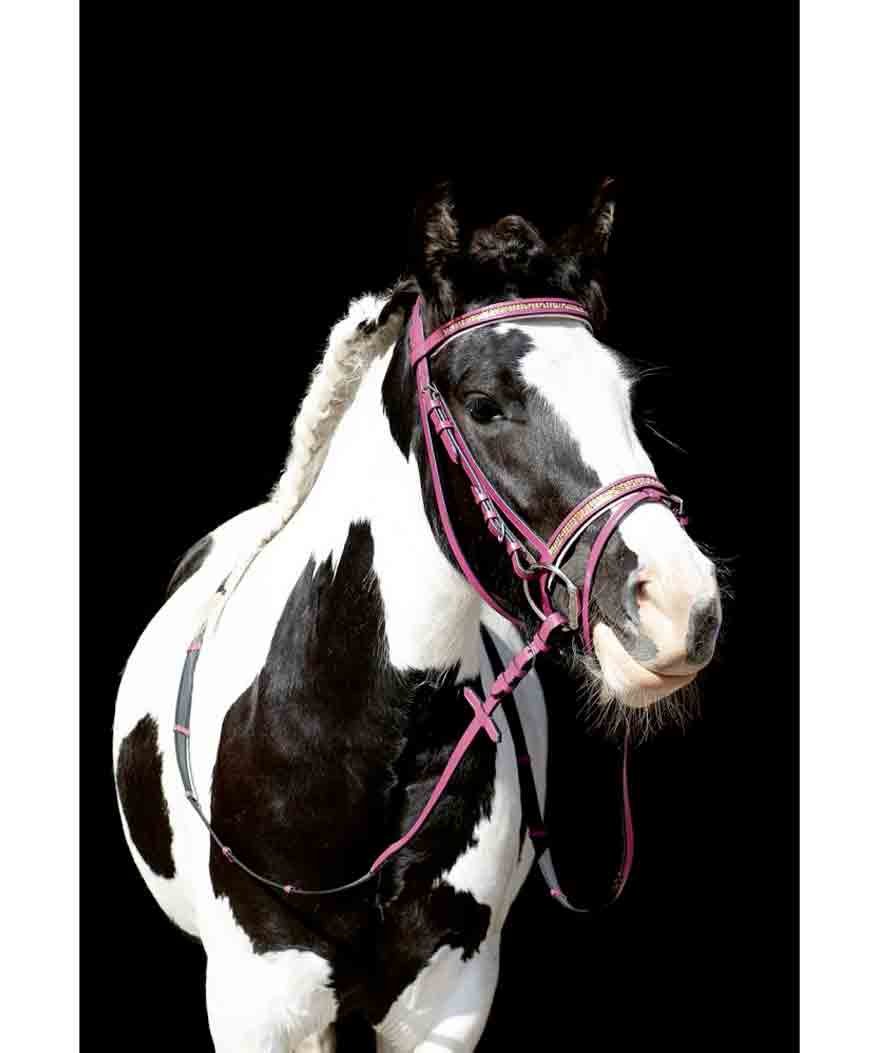 Testiera in cuoio morbido con strass su frontalino e nasalina per shetland e pony modello Santa Fe  - foto 4