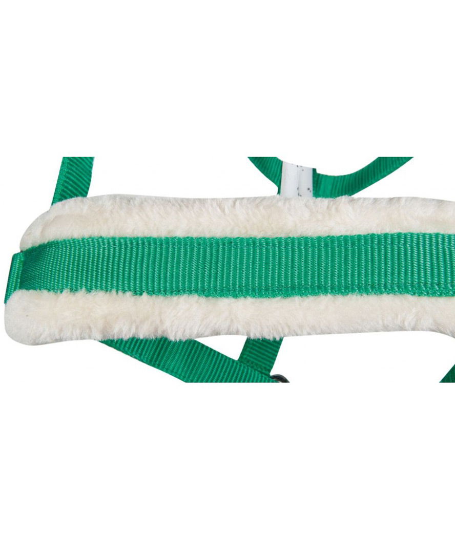 Cavezza da equitazione con imbottitura in peluche e raccordi argentati modello Bischofshofen - foto 10