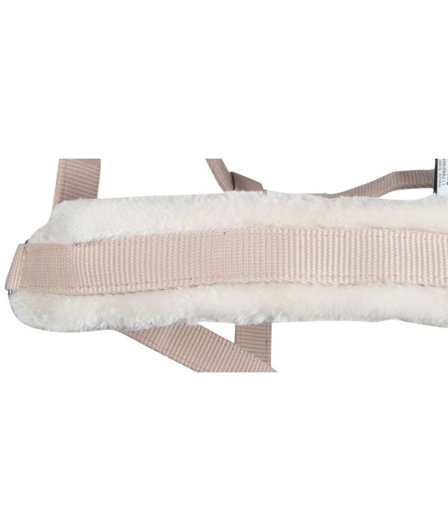 Cavezza da equitazione con imbottitura in peluche e raccordi argentati modello Bischofshofen - foto 3