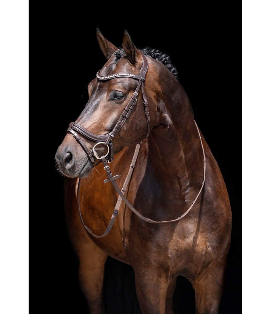 Briglia in pelle per cavalli con sopratesta imbottita e cinghia per gola rimovibile modello Anatomic Crystal - foto 3