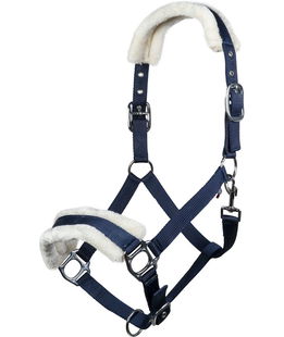Capezza Teddy Style