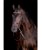 Briglia in cuoio per cavalli completa di redini in tela e brillanti sul frontalino modello Mia  - foto 6