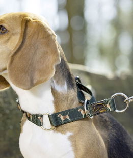 Collare in nylon con stopper mettallici modello Beagle