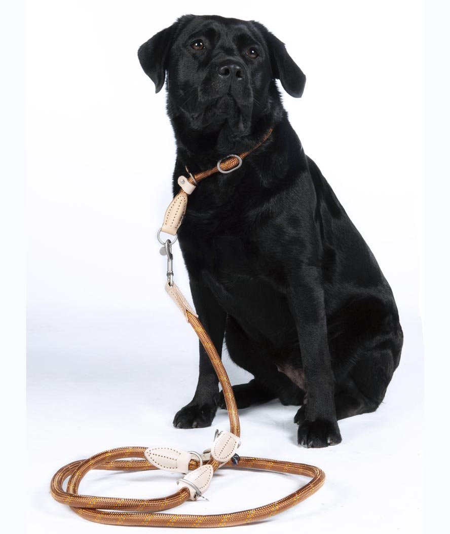 Guinzaglio da addestramento in nylon con guarnizioni in vera pelle modello Anam Cara per cani - foto 2