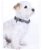 Collare in nylon regolabile modello Anam Cara per cani - foto 9