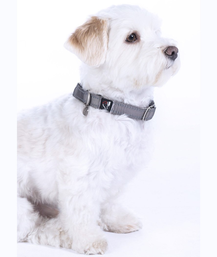 Collare in nylon regolabile modello Anam Cara per cani - foto 9
