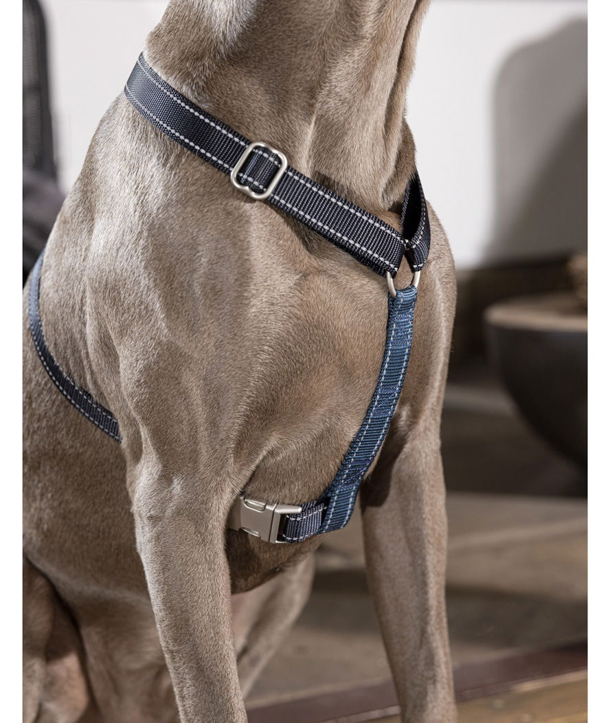 Pettorina in nylon Taglia S modello Anam Cara Basic per cani - foto 4