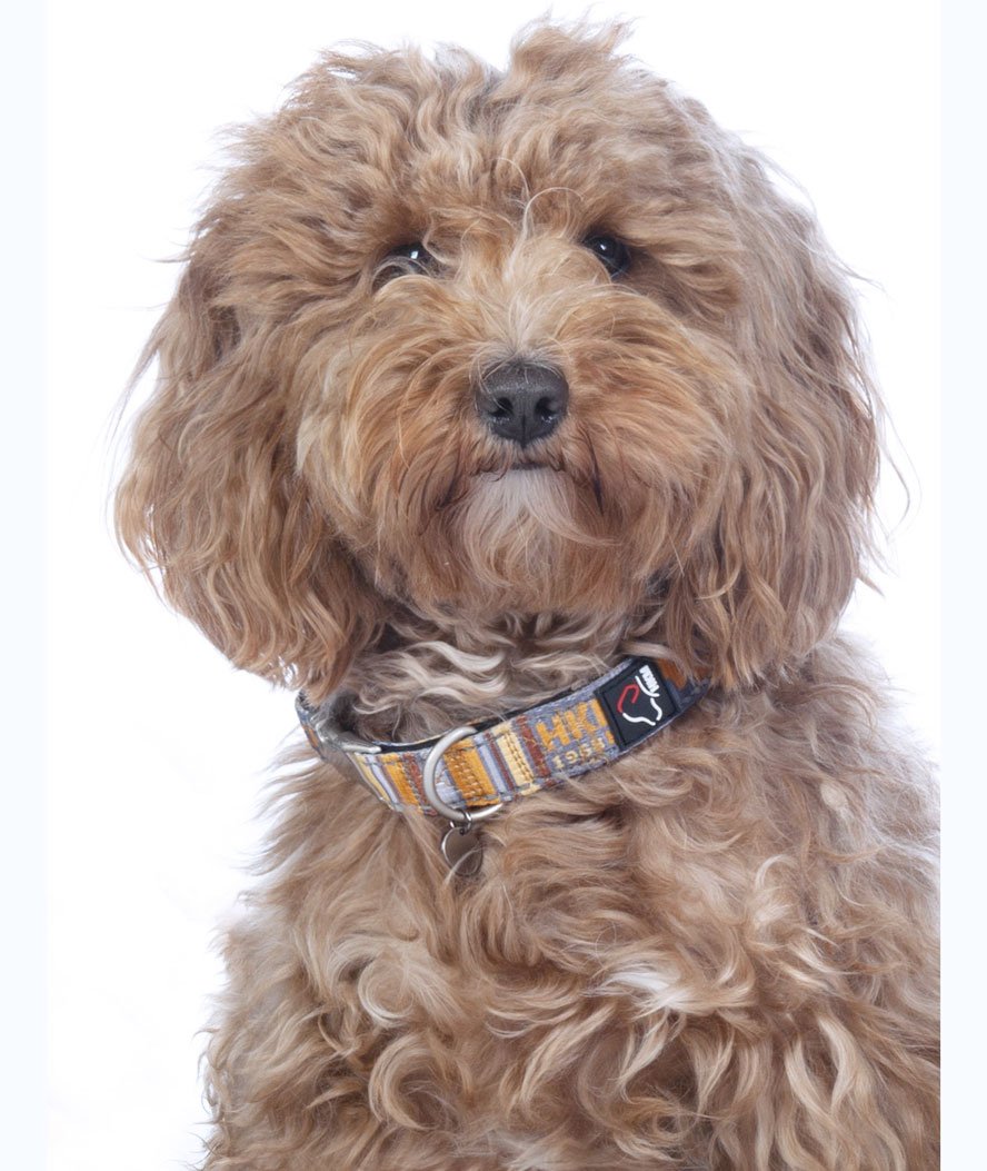 Collare in nylon con stampa modello Anam Cara per cani - foto 3